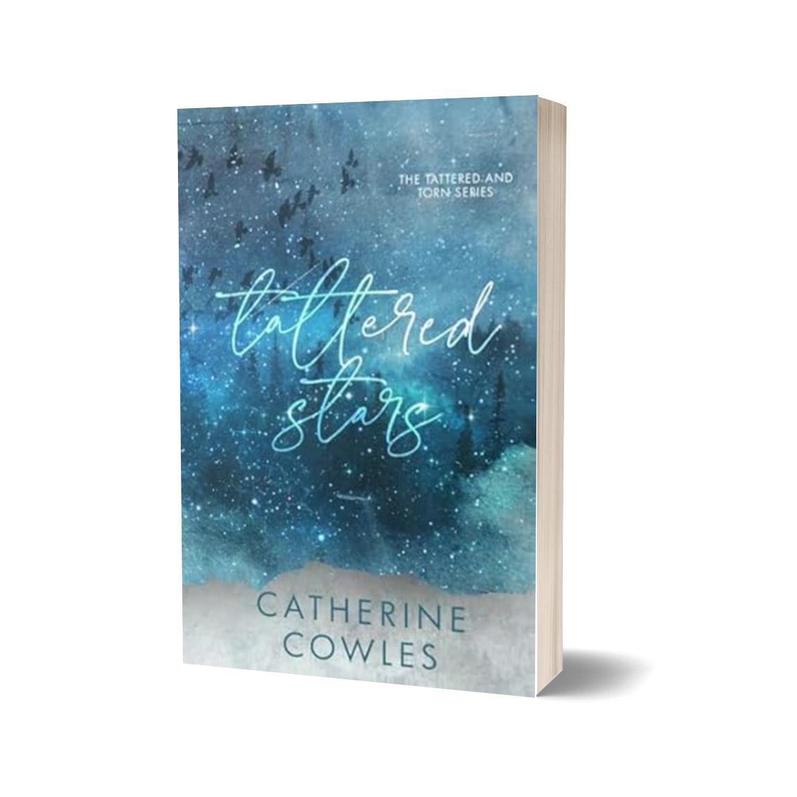 Special Edition Paperback