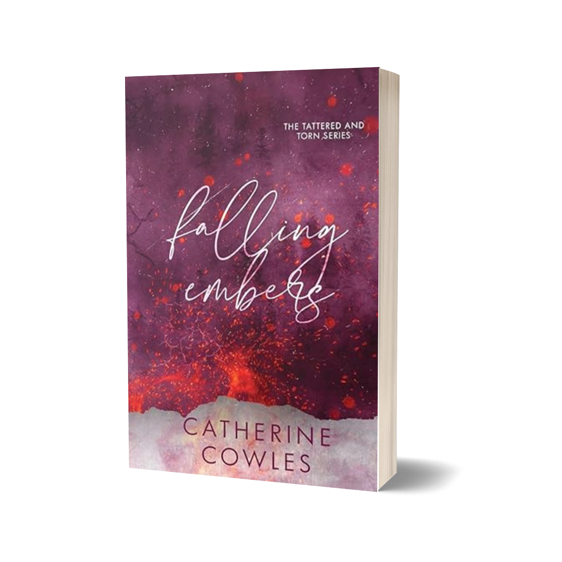 Special Edition Paperback