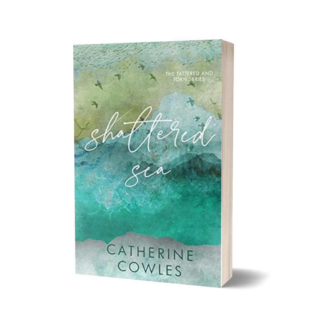 Special Edition Paperback