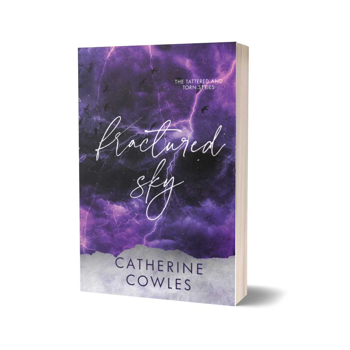 Special Edition Paperback