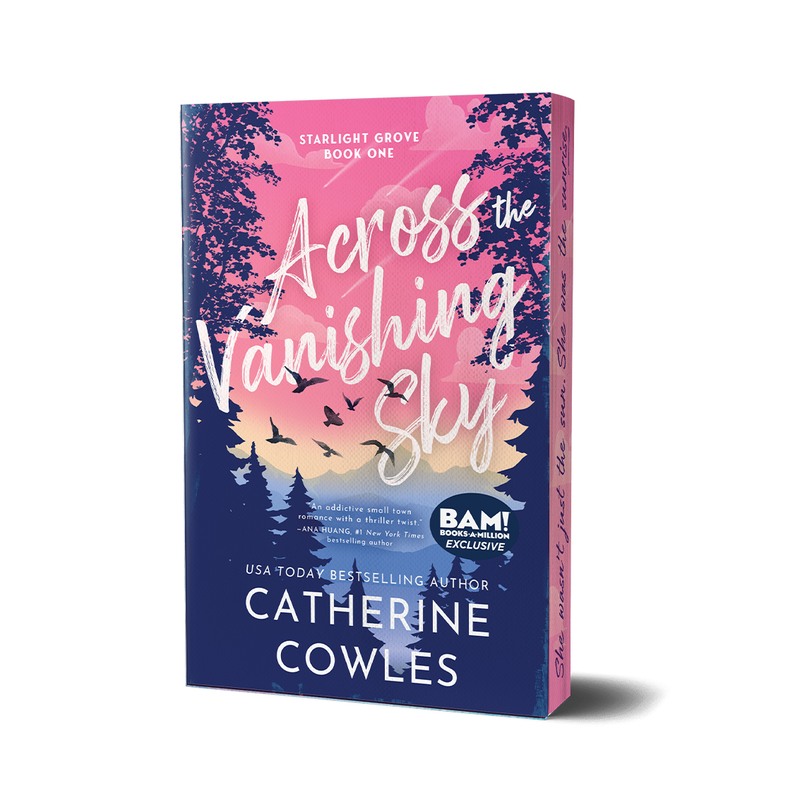 Exclusive BAM &amp; Indigo Edition